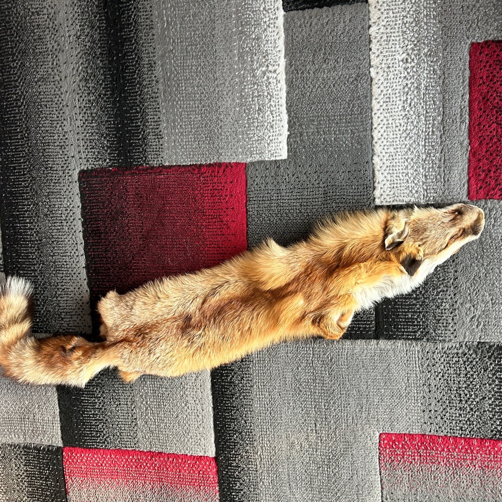 Luxurious Red Fox Fur Pelt